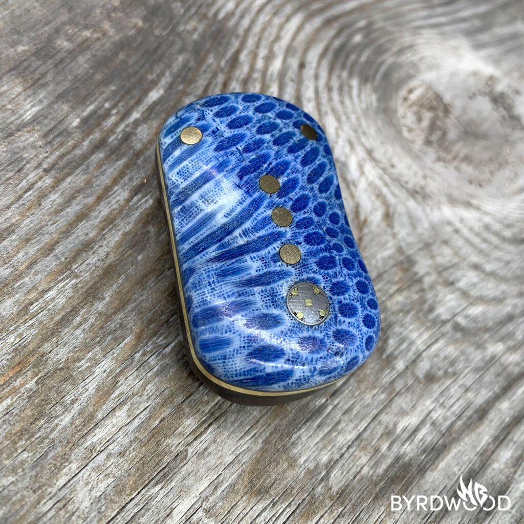 bwaStoneBrainCoralCoco_01