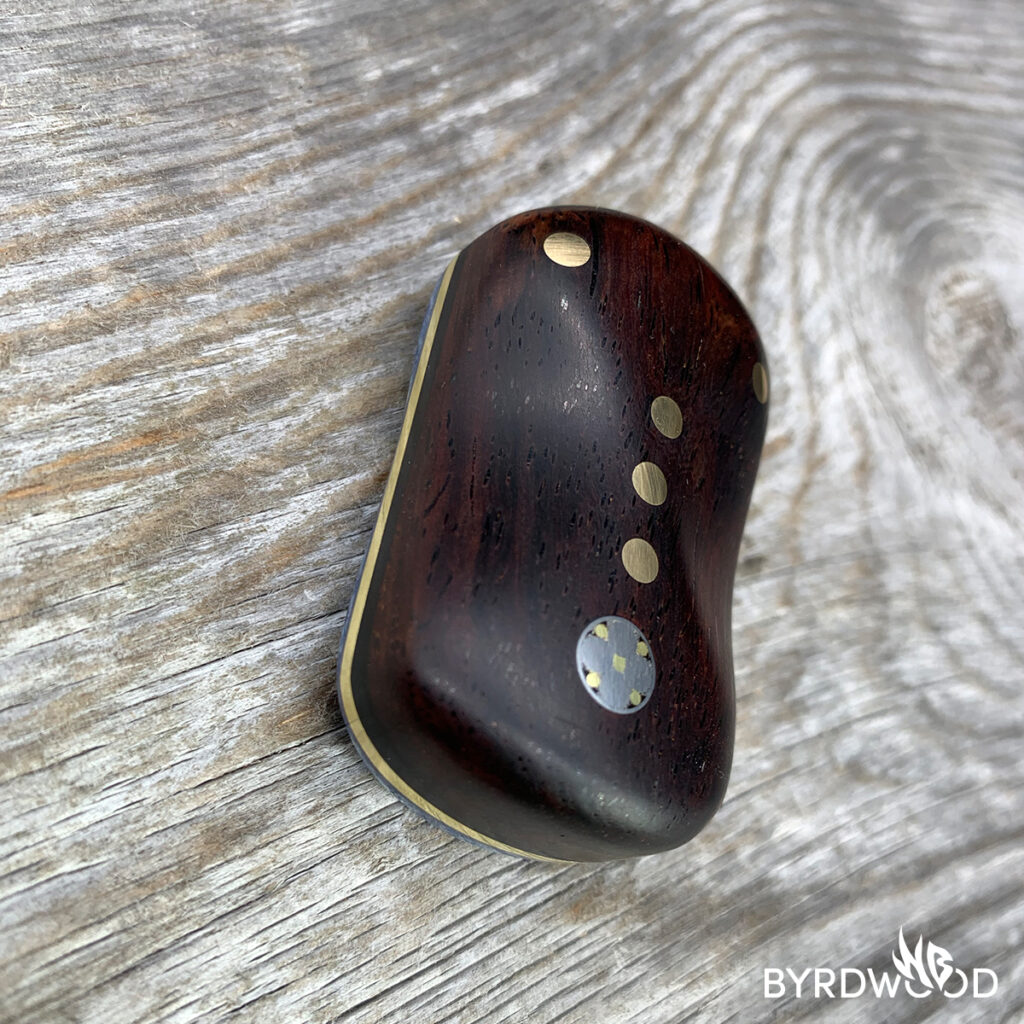 bwaStoneBrainCoralCoco_04