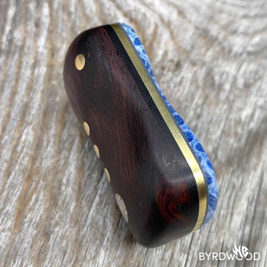 bwaStoneBrainCoralCoco_05